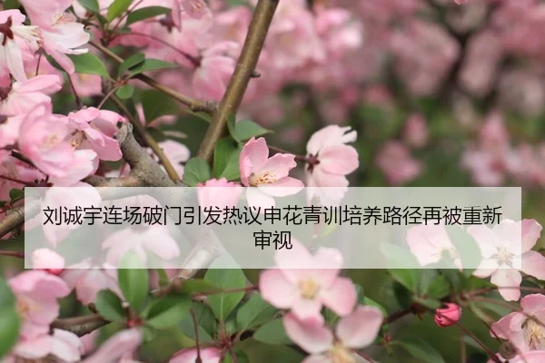 刘诚宇连场破门引发热议申花青训培养路径再被重新审视